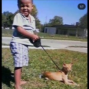 Meet your Posher, Dante